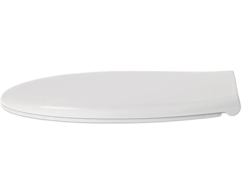 Toilettendeckel aus Kunststoff