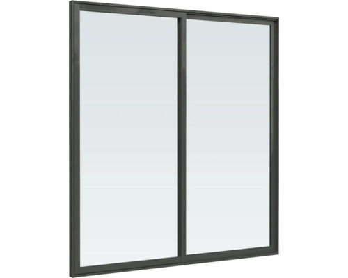 Schiebetür mit zwei Flügeln und Rahmen