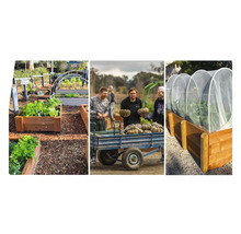 Scène de jardin avec des plates-bandes surélevées et des cultures de légumes