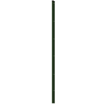 Profilleiste Abdeckleiste Multi 203 cm, grün