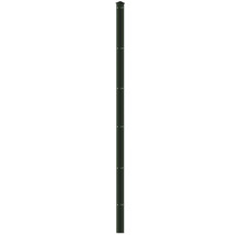 Profilleiste Abdeckleiste Multi 203 cm, grün