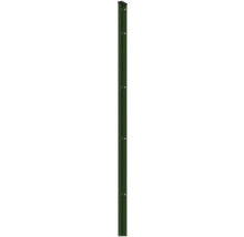 Profilleiste Abdeckleiste Multi 143 cm, grün