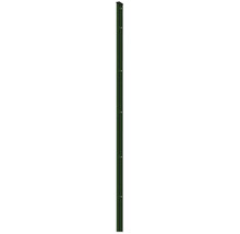 Profilleiste Abdeckleiste Multi 183 cm, grün