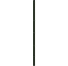 Profilleiste Abdeckleiste Multi 183 cm, grün