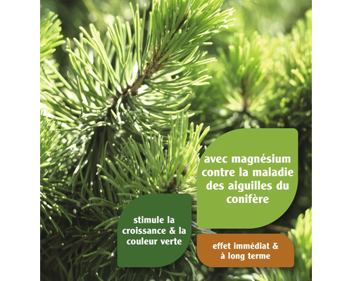 Produit pour conifères avec magnésium contre la maladie des aiguilles, stimule la croissance et la couleur verte, effet immédiat et à long terme.