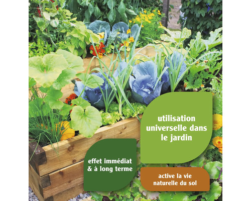 Jardinière surélevée avec divers légumes et plantes