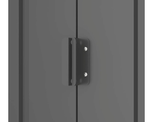 Poignée de porte d''une porte en métal