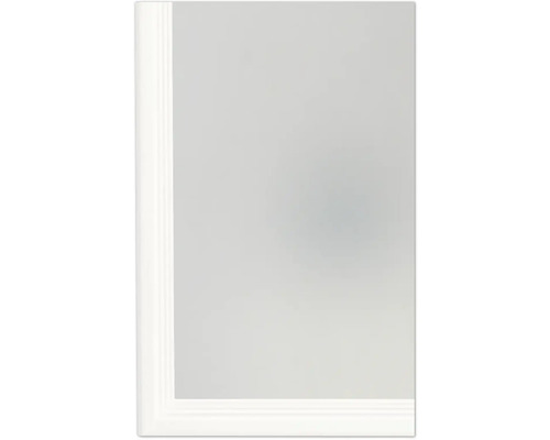 Fenêtre en verre dépoli