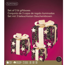 Ensemble de trois boîtes cadeaux lumineuses avec étoiles et nœuds, alimentées par piles