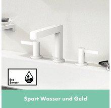 Robinet de lavabo avec symbole EcoSmart