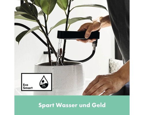 Plante arrosée avec un système d''irrigation