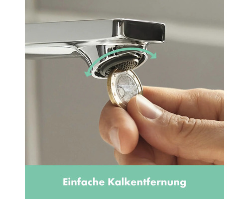 Wasserhahn mit abnehmbarem Strahlregler zur einfachen Entkalkung mit einer Euro Münze