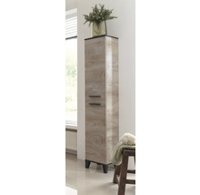 Hochschrank FACKELMANN TE-A BxHxT 302 x 1752 mm x 320 mm Frontfarbe eiche natur matt 85937