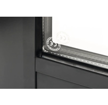 Abri de jardin Palmako Andrea 17,1 m² porte coulissante verre isolant avec plancher 639 x 402 cm trempé
