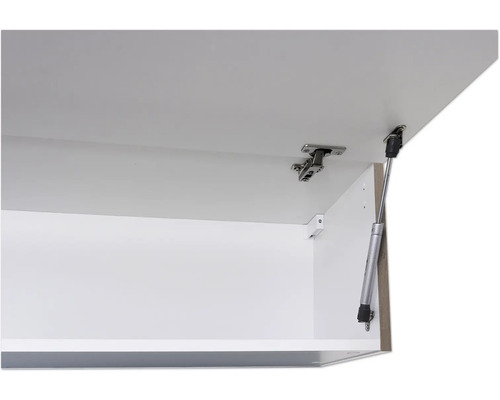 Armoire avec ferrures et ressort à gaz