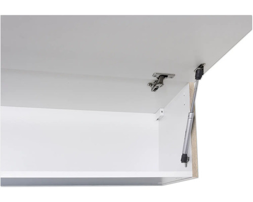 Porte de placard avec charnière et ressort à gaz