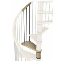 Détail d''un escalier en colimaçon avec marches, rambarde et poteaux