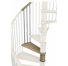 Détail d''un escalier en colimaçon avec marches en bois et garde-corps en métal