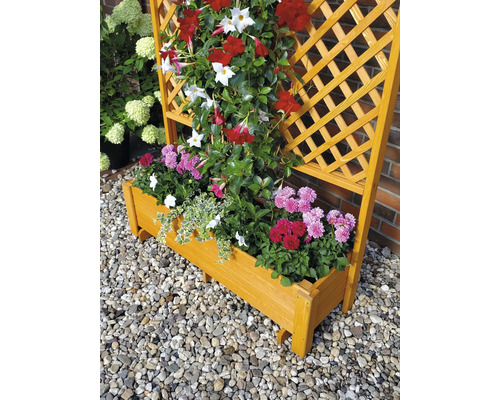 Blumenkasten mit Rankgitter und verschiedenen Blumen