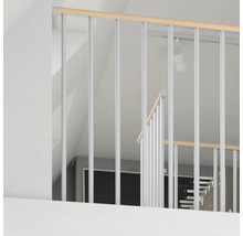 Garde-corps d''escalier en métal avec main courante en bois dans un intérieur lumineux