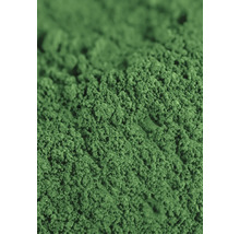 Gros plan de spiruline en poudre