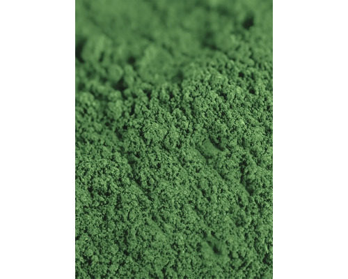 Gros plan de poudre de chlorelle