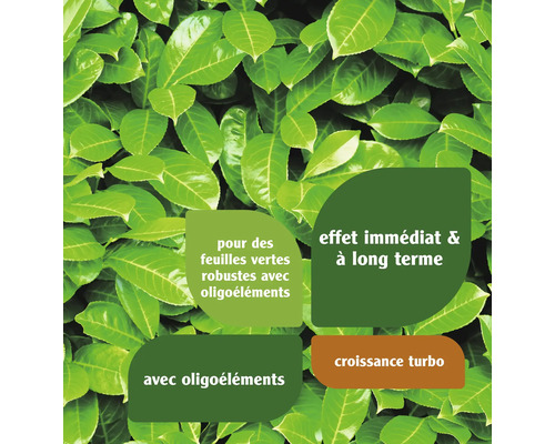 Feuilles vertes avec des indications d''effet immédiat et à long terme et de croissance turbo