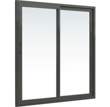 Gartenhaus Palmako Andrea 17,1+7,9 m² Schiebetür Isolierglas inkl. Fußboden 920 x 402 cm grau