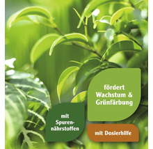 Pflanzenetikett mit den Aufschriften: Fördert Wachstum und Grünfärbung, mit Spurennährstoffen, mit Dosierhilfe.