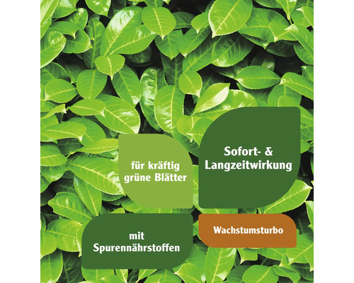Blattdünger-Ankündigung mit Hinweisen zu grünen Blättern, Sofortwirkung, Langzeitwirkung, Spurennährstoffen und Wachstums-Turbo