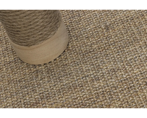 Gros plan d''un tapis en sisal avec un griffoir