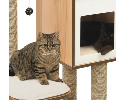 Katzen auf einem Kratzbaum mit Sisalstämmen und Schlafhöhle