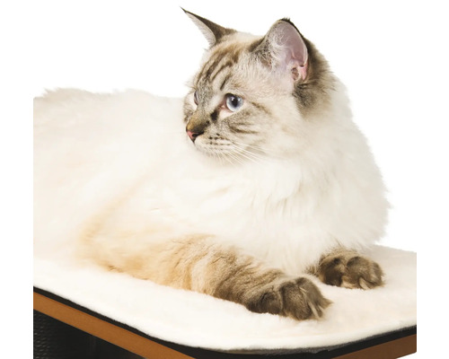 Katze liegt auf einer gepolsterten Plattform