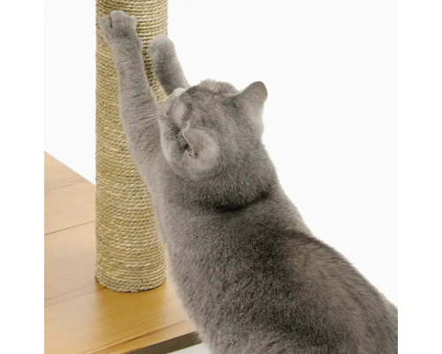 Katze kratzt an einem Kratzbaum