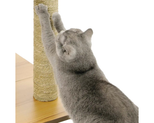 Katze kratzt an einem Kratzbaum