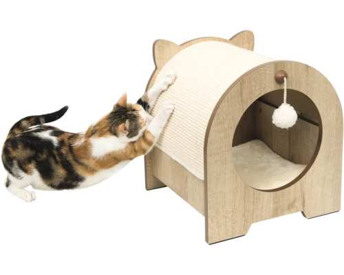 Katze kratzt an Katzenkratzbaum mit Katzenhaus und Spielzeug