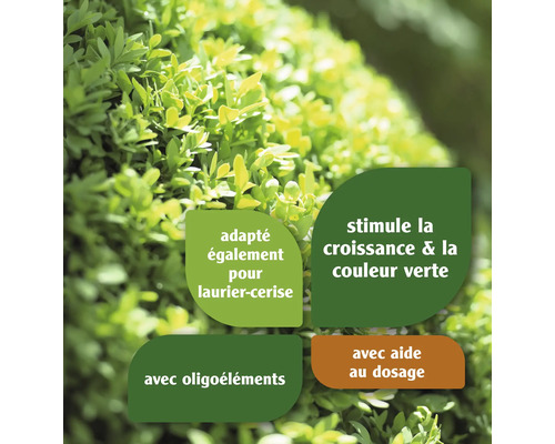 Symbole avec les avantages du produit : convient aux lauriers cerises, stimule la croissance et la couleur verte, avec des oligo-éléments, avec aide au dosage