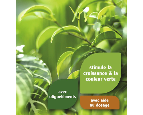 Image de plantes indiquant que le produit stimule la croissance et la couleur verte, contient des oligo-éléments et offre une aide au dosage.