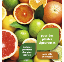 Alimentation pour plantes aux agrumes pour des plantes vigoureuses