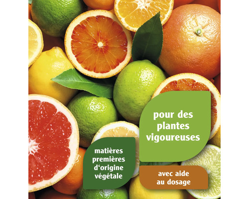 Alimentation pour plantes aux agrumes pour des plantes vigoureuses