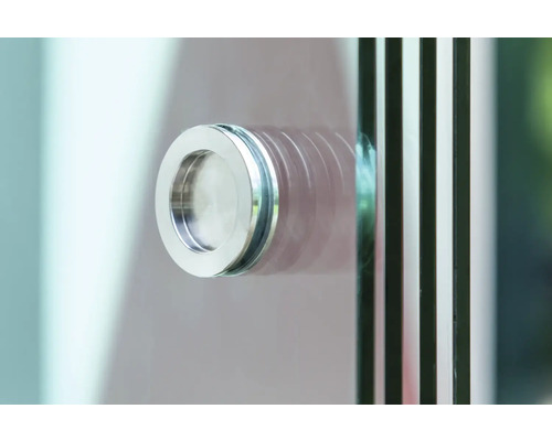 Vue détaillée d''une porte en verre avec une poignée ronde