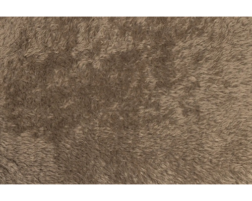 Nahaufnahme eines Teppichs mit hohem Flor