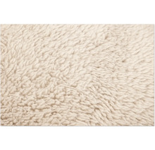 Gros plan sur un tissu en peluche teddy beige