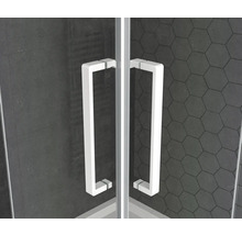 Detailansicht der Duschkabinentür mit Griff