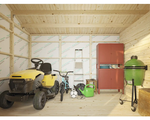 Intérieur d''abri de jardin avec tracteur de pelouse, armoire et barbecue
