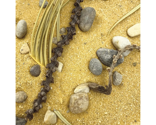 Décoration avec sable, pierres, plantes et branches