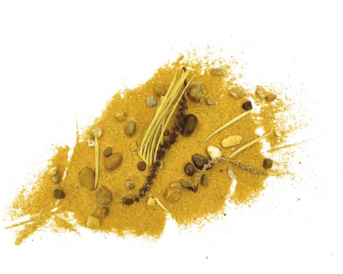 Sable avec pierres et restes de plantes