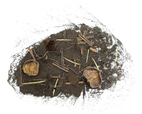 Terre avec des résidus de plantes