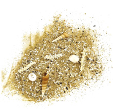 Sand mit Muscheln und kleinen Steinen