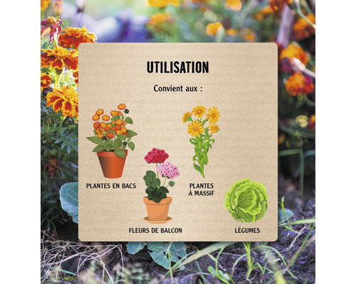 Illustration des utilisations possibles des plantes : plantes en pot, plantes de massifs, fleurs de balcon et légumes.